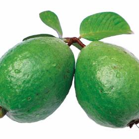Guave-Mango
