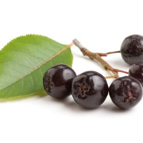 Aronia-Birne