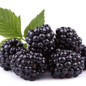 Brombeer-Pastis