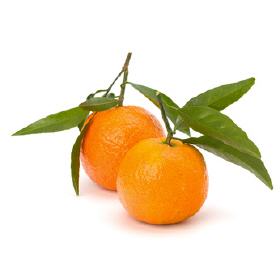 Mandarine