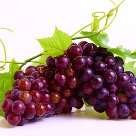 Rote Weintraube